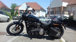 SO06 Street Bob 2019